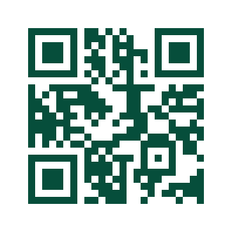 Código QR Estándar ISO